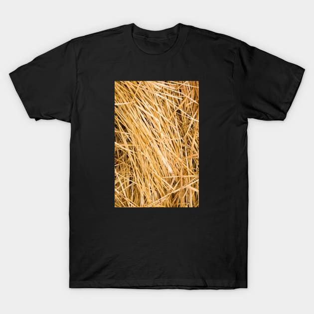 Dried yellow grass texture in a paddock T-Shirt by textural